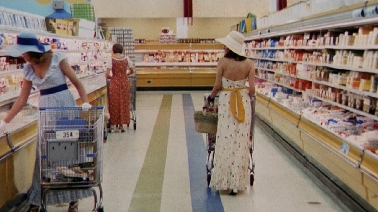 The Long 1970s — ROBOTS, FEMINISM AND DOMESTIC DYSTOPIA IN... picture picture