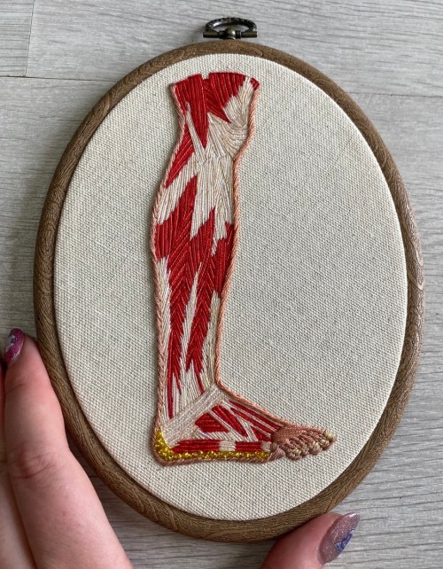 sosuperawesome:Anatomical EmbroideryAmbroidering on Etsy 