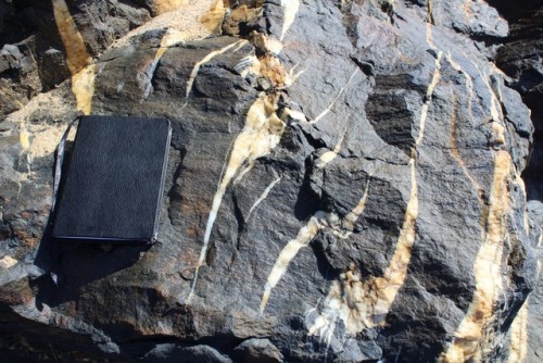 i-paperslut-fotografia:Fine shale with quartz veins and sigmoids.Grauvaques com veios de quartzo e s