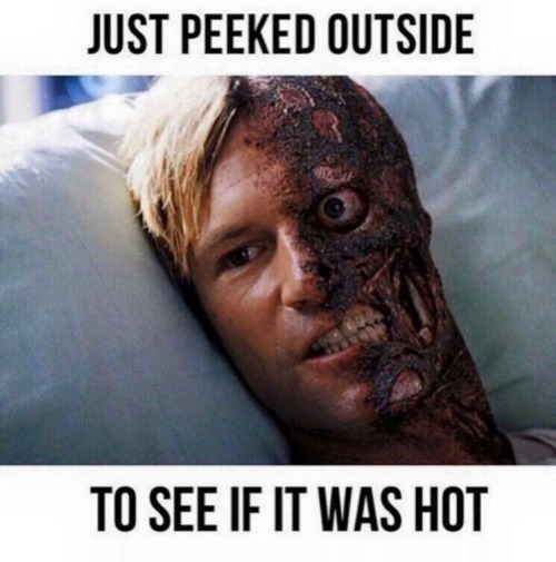 lolfactory:  UK today… ➨ funny tumblr [via imgur]