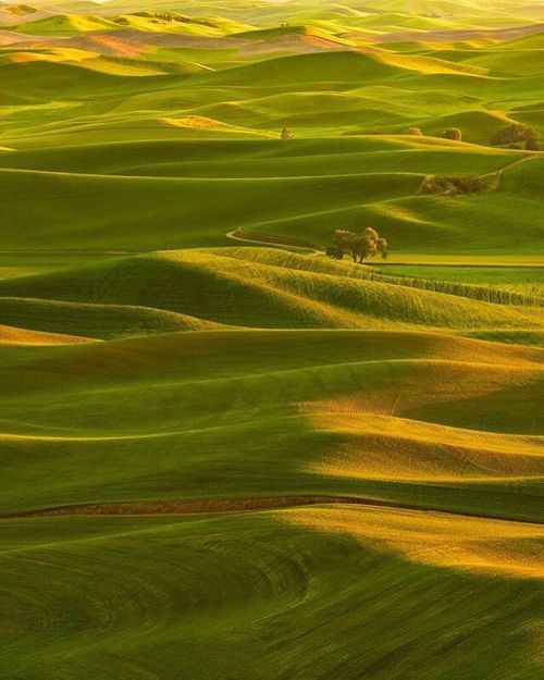 What places feel like home to you?  This is @markhandyphotography’s favorite view in the Palou