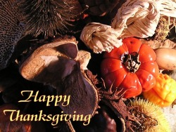 Happy Thanksgiving to Everyone thank you