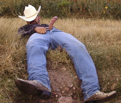 120364: vaquero-mexicano:0008. Quien lo monta Mmmmmmmmm Deliciosa  Some cowboy dick to work on. Mmm 