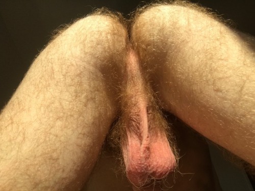 pierdep:  Good Morning from my hairy ginger ass