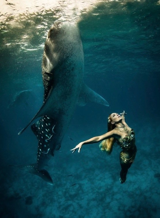 sixpenceee:  Whale Shark Fashion ShootThese pictures of endangered whale sharks along