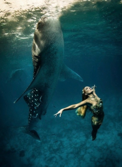 sixpenceee:  Whale Shark Fashion ShootThese