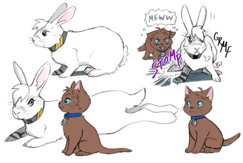 The adventures of Bunniro and NyanceThis was the first pic I’ve done featuring VLD animals. I think 