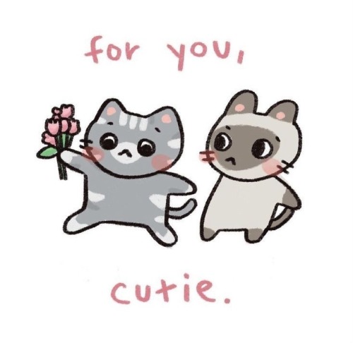 *boops Your Nose !!* Send This To Ten Blogs You Think Are Lovely And Deserve A Boop On The Nose (-)