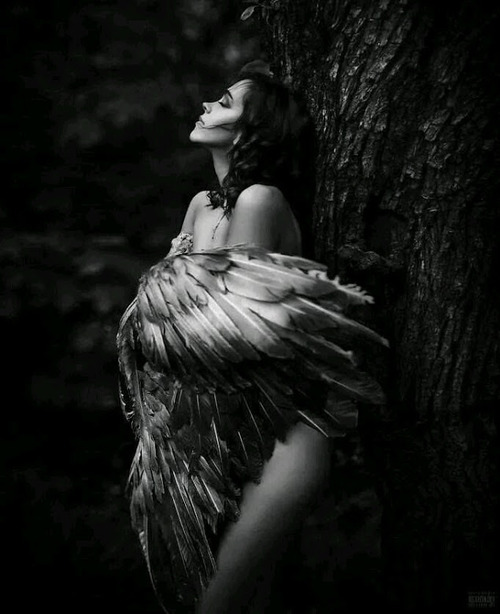 smthat:  Angels in our midst