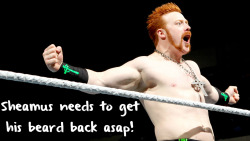 wrestlingssexconfessions:  Sheamus needs to get his beard back asap!  Beard or no beard I would still let him do whatever he wanted with me!