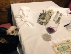 marniethedog:  Tanx 4 dinner