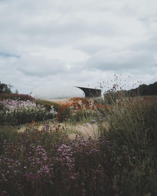 Instagram | Thewildwoodmoth