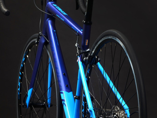 silverbackbikes: Silverback BORN TO BE FAST