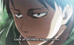 princessaryastark:  ↳ Best of Levi Lines [1/?] 