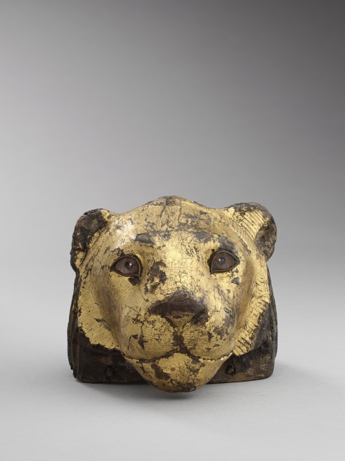 virtual-artifacts:A movable element in the form of lion’s head. Wood: tamarisk ( Tamarix aphylla ). 