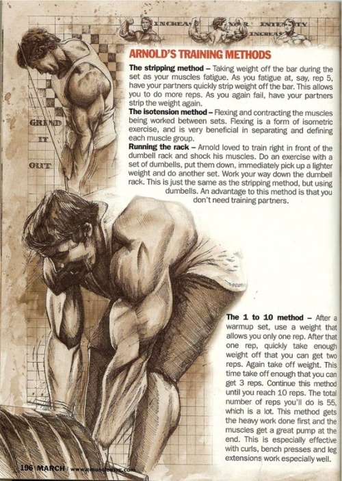 steadymirin:  always reblog arnold.