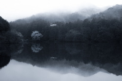 winterfellis:  Phantasmagoria by mt.moco on Flickr.