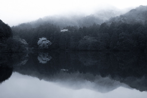 winterfellis: Phantasmagoria by mt.moco on Flickr.