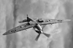rhubarbes:  Spitfire via Giancarlo Neri