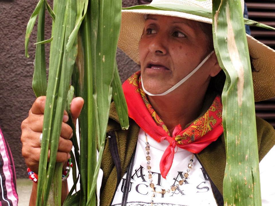 lapinchecanela:Nota y Fotografías: Desinformémonos       Agotar la vía legal,