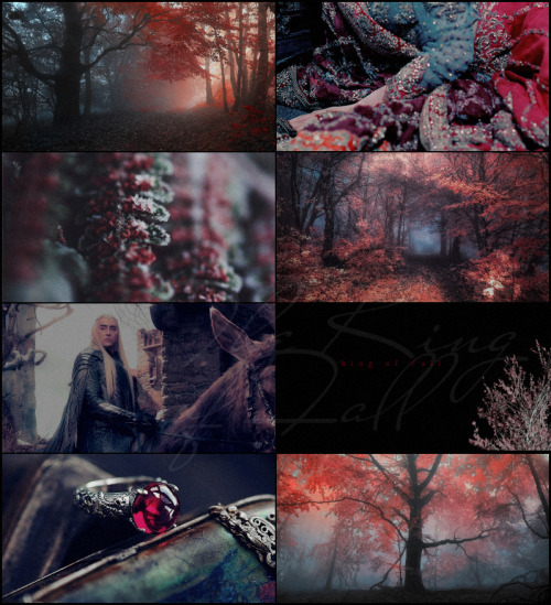 The Middle-Earth aesthetics | Thranduil, The King of Fall