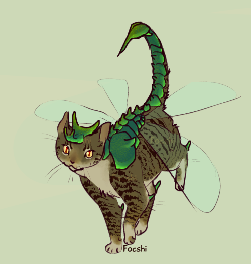 focshi: a birthday gift for @regal-bones of her cat, Bug! I hope you had a great birthday :D(I will 