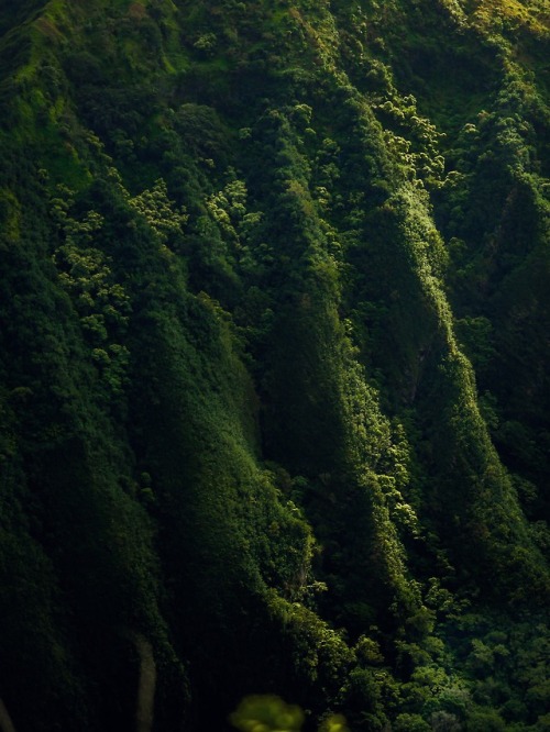 expressions-of-nature:Hawaii by Nathan Ziemanski