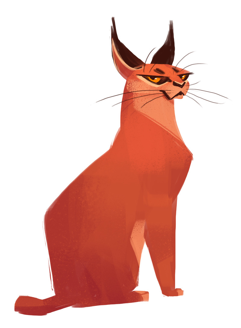 caracal drawing