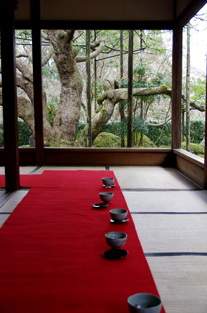 thekimonogallery:  Tea room at Hosen-in temple, Kyoto, Japan.  Photography by reichan’s