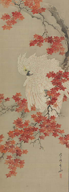 Cockatoo on a Red Maple Branch, Gantai (1782–1865) Period:Edo period (1615–1868) Date:mi