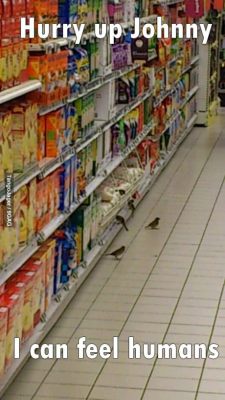 9gag:  I was at the supermarket the other day and… 