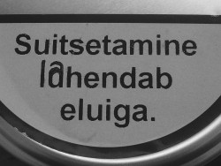 poeetria:  Suitsetamine lahendab eluiga/ smoking solves life