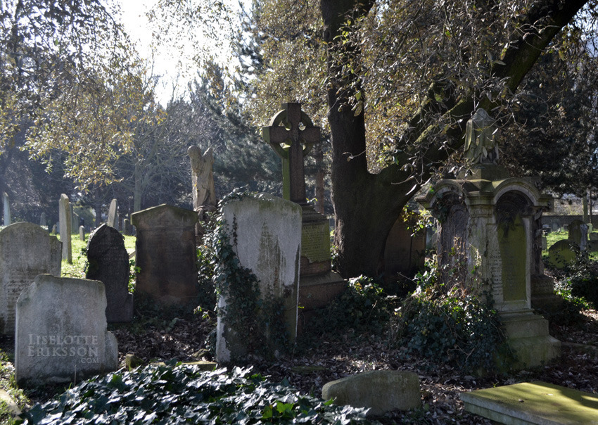 liselotte-e:  Brompton Cemetery, London, UK. 