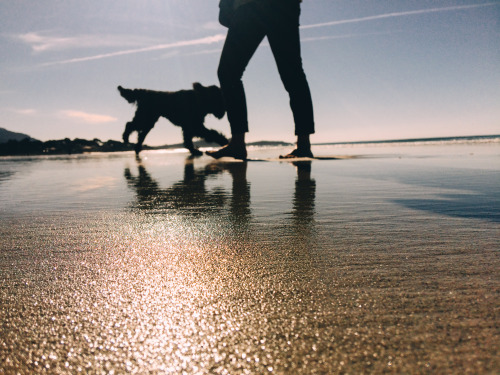 pebble beach