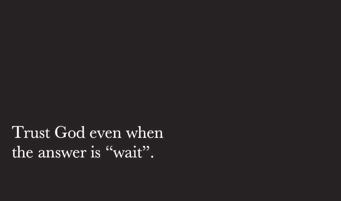 lostintheechossien:  