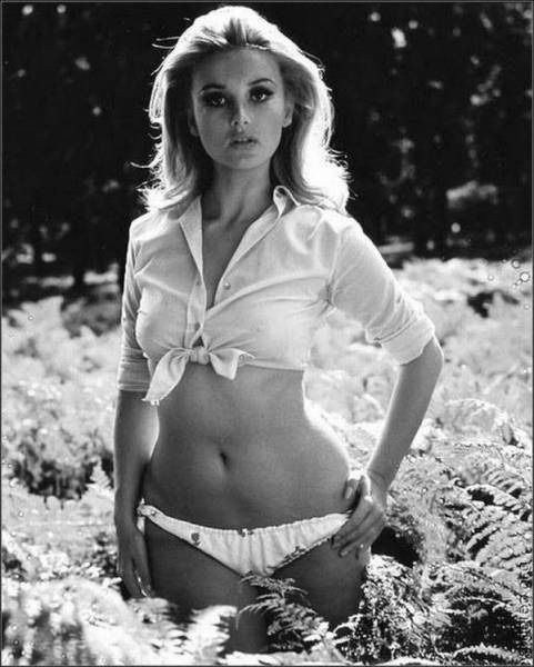honey–rider: Barbara Bouchet
