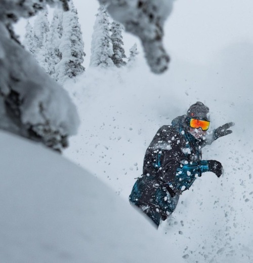 Travis Rice- Ghosting through the woods @baldfacelodge… happy place. - @dustinlalikphoto 