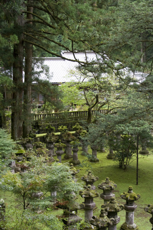 Nikko By : Kees van Reeuwijk(Do not remove credits)