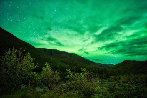 Chasing The Lights // Alaska