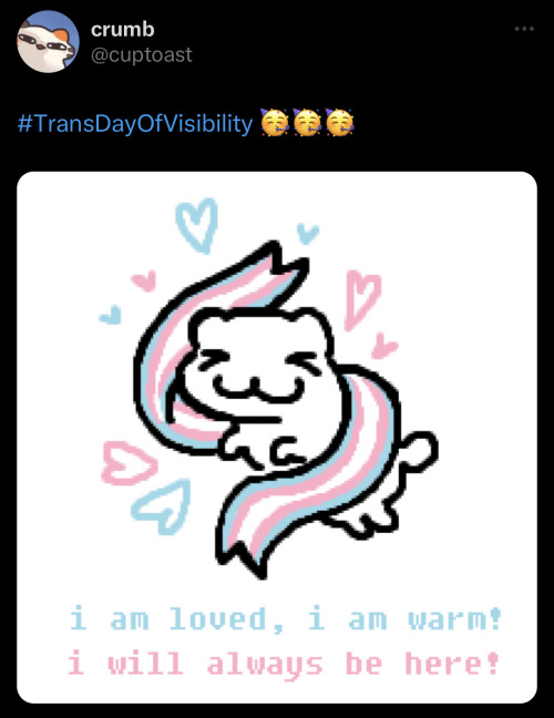 Crumb Is Celebrating Trans Day Of Visibility!