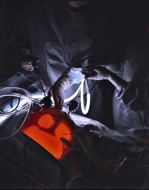 aspiringthoracicsurgeon:More medically related images from my photo stream. (None are owned by me).