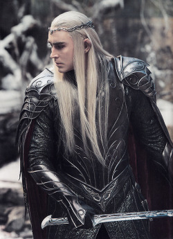 thranduillover2013:  “The Battle Of