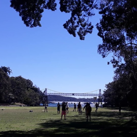 #rotaryrosebay | Explore Tumblr Posts and Blogs | Tumpik