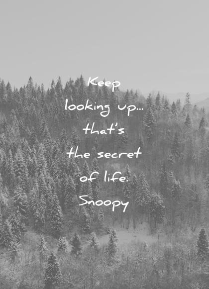 Quotes Keep Looking Up That S The Secret Of Life