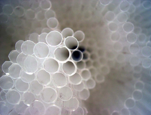 likeafieldmouse:  Tokujin Yoshioka for Design Miami (2007) - An installation of 300,000 plastic straws
