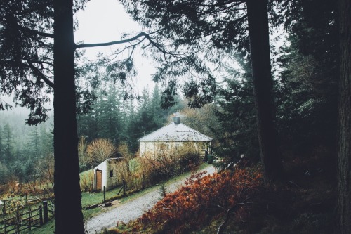 dpcphotography:Whinlatter Forest