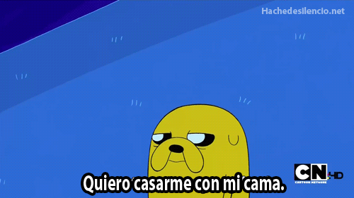 Reflejos del Alma