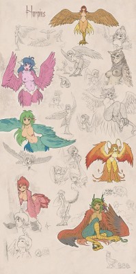 thelandofmercuin:  Harpy’s lives are filled