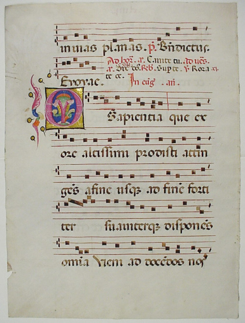 byjoveimbeinghumble: met-medieval-art: Manuscript Leaf with Initial O, from an Antiphonary, Medieval