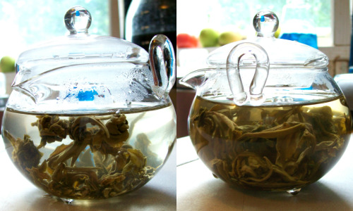 Wrote about Tattle Tea’s Jasmine Pearls green tea this weekend! @ ht.ly/PvNIO